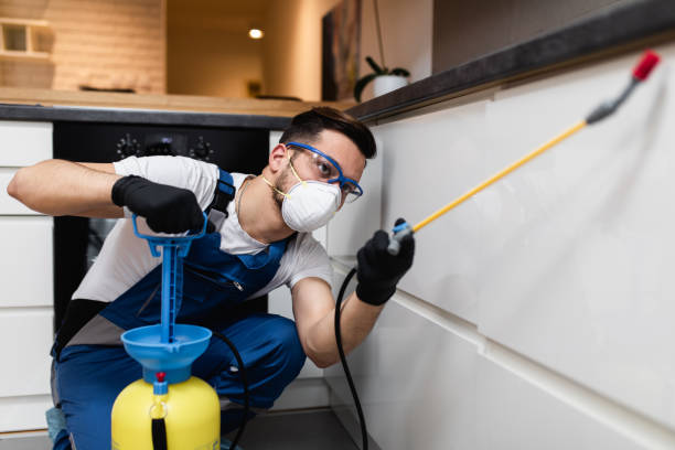 Best Pest Control Near Me  in Four Bridges, OH