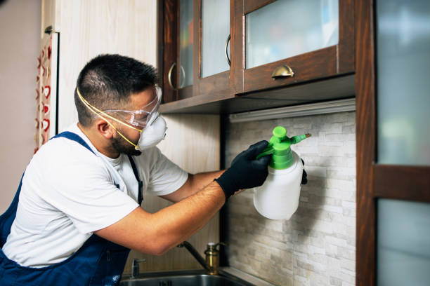 Best Flea Control Services  in Four Bridges, OH