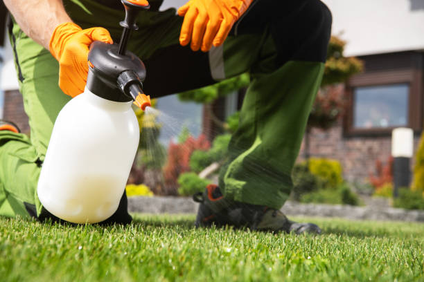 Best Wildlife Control Services  in Four Bridges, OH