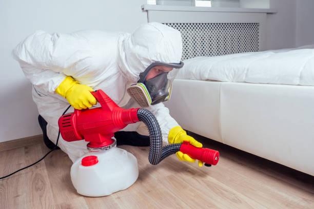 Best Wasp Removal Services  in Four Bridges, OH