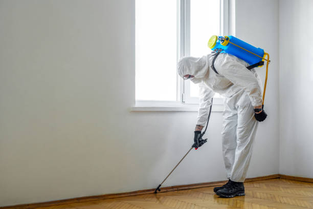 Best Ant Control Services  in Four Bridges, OH