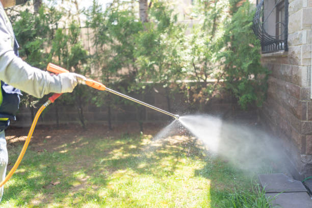 Best Rodent Control Near Me  in Four Bridges, OH