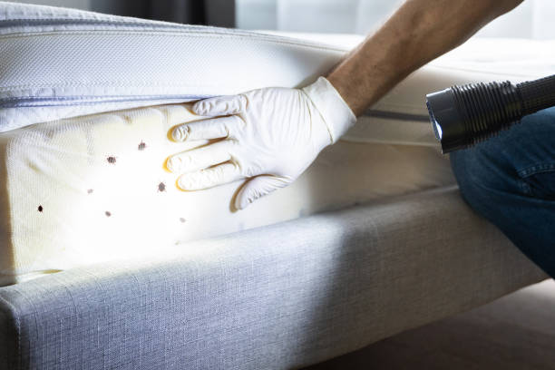 Best Best Pest Control Companies  in Four Bridges, OH