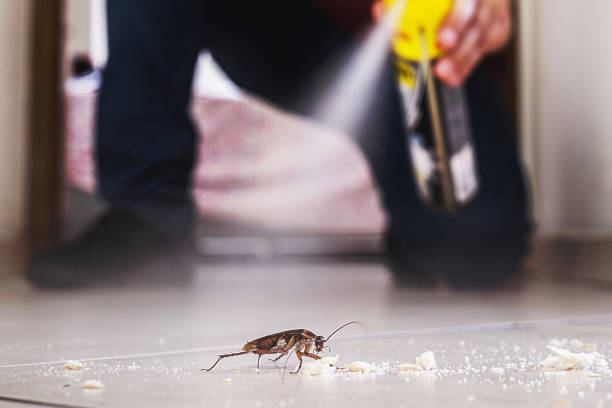 Best Local Pest Control Services  in Four Bridges, OH