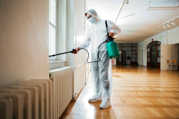 Flea Control Services in Four Bridges, OH