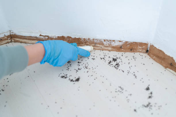 Best Affordable Pest Control Services  in Four Bridges, OH