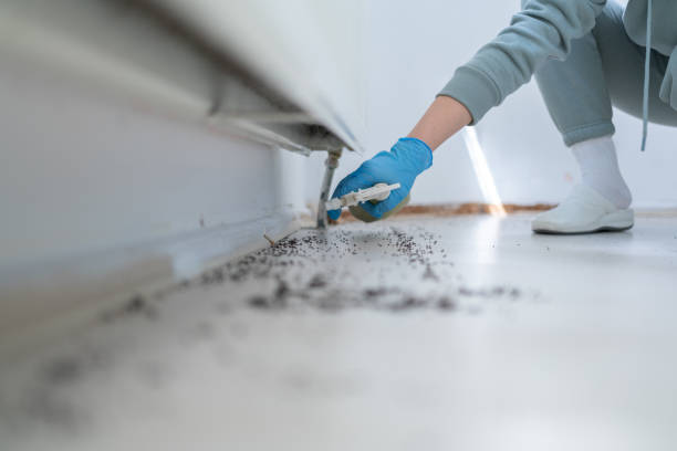 Professional Pest Control in Four Bridges, OH